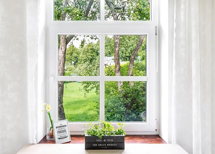 Supeluse 11 بارنو