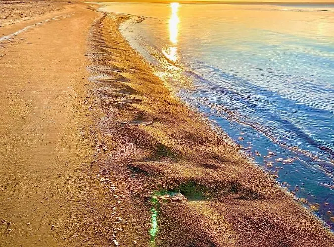 شقة Supeluse 11 *