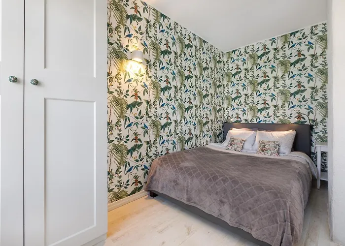 Supeluse 11 * بارنو